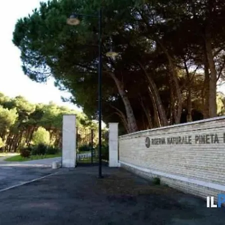- Pineta Retreat Apartment Pescara